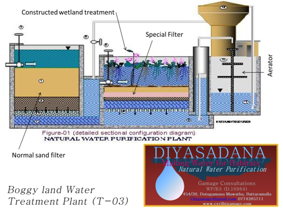 natural water filtration